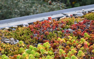the cost of Kensaleyre green roof installation